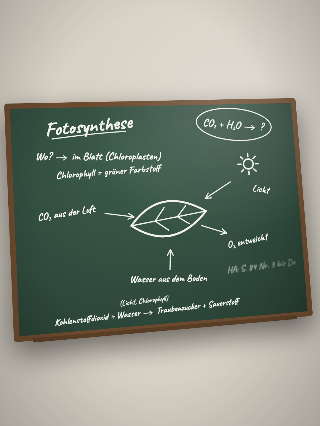 Handyfoto einer grünen Tafel, leicht schräg aufgenommen. Oben steht die Überschrift Fotosynthese. Darunter steht: Wo? Im Blatt (Chloroplasten), Chlorophyll gleich grüner Farbstoff. In der Mitte ist ein Blatt gezeichnet. Pfeile zeigen: CO2 aus der Luft, Licht von der Sonne und Wasser aus dem Boden gehen hinein, O2 entweicht. Unten steht die Wortgleichung Kohlenstoffdioxid plus Wasser ergibt mit Licht und Chlorophyll Traubenzucker plus Sauerstoff. Rechts unten steht halb verwischt eine Hausaufgabe.